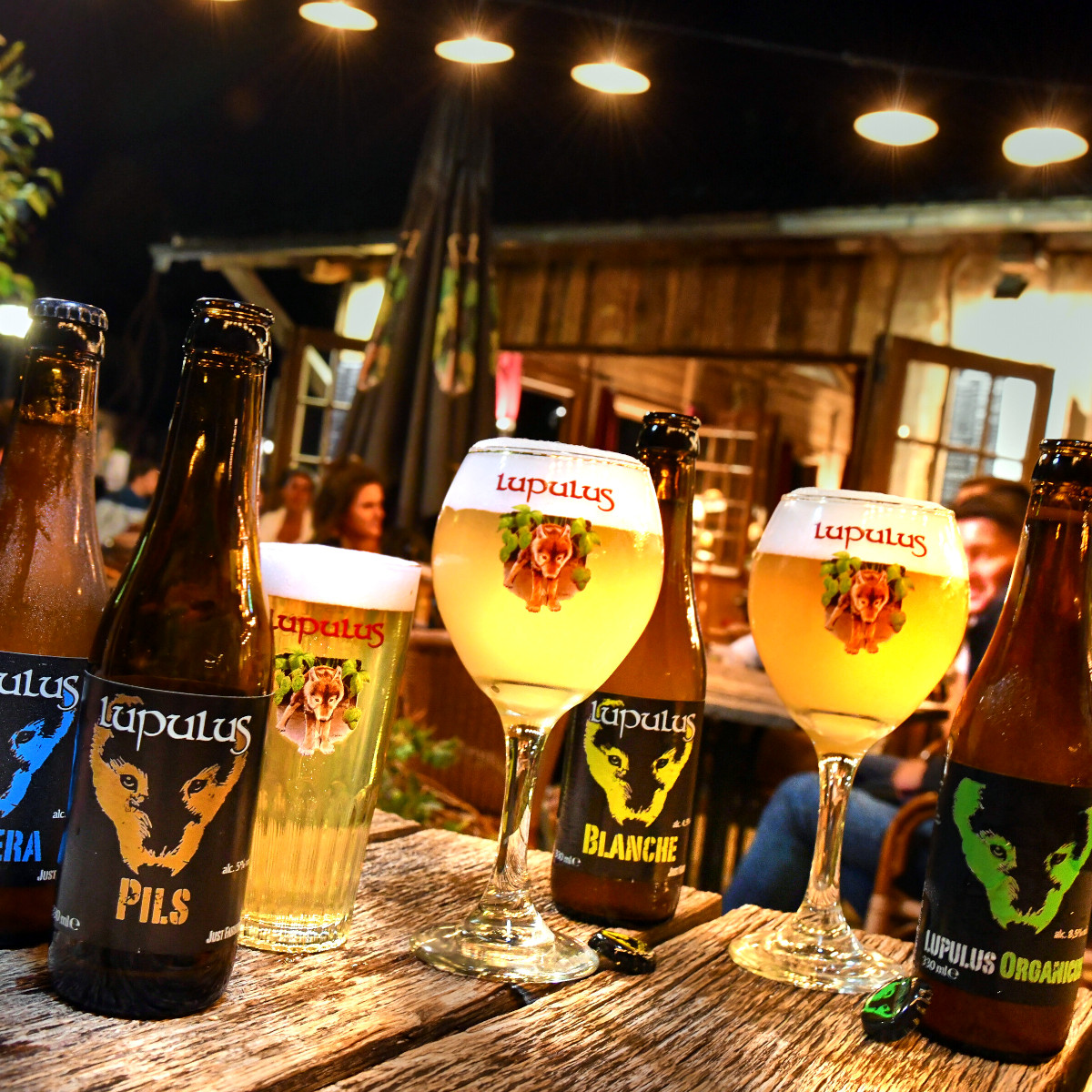 Bières artisanales belges Lupulus